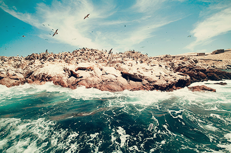 Islas Ballestas